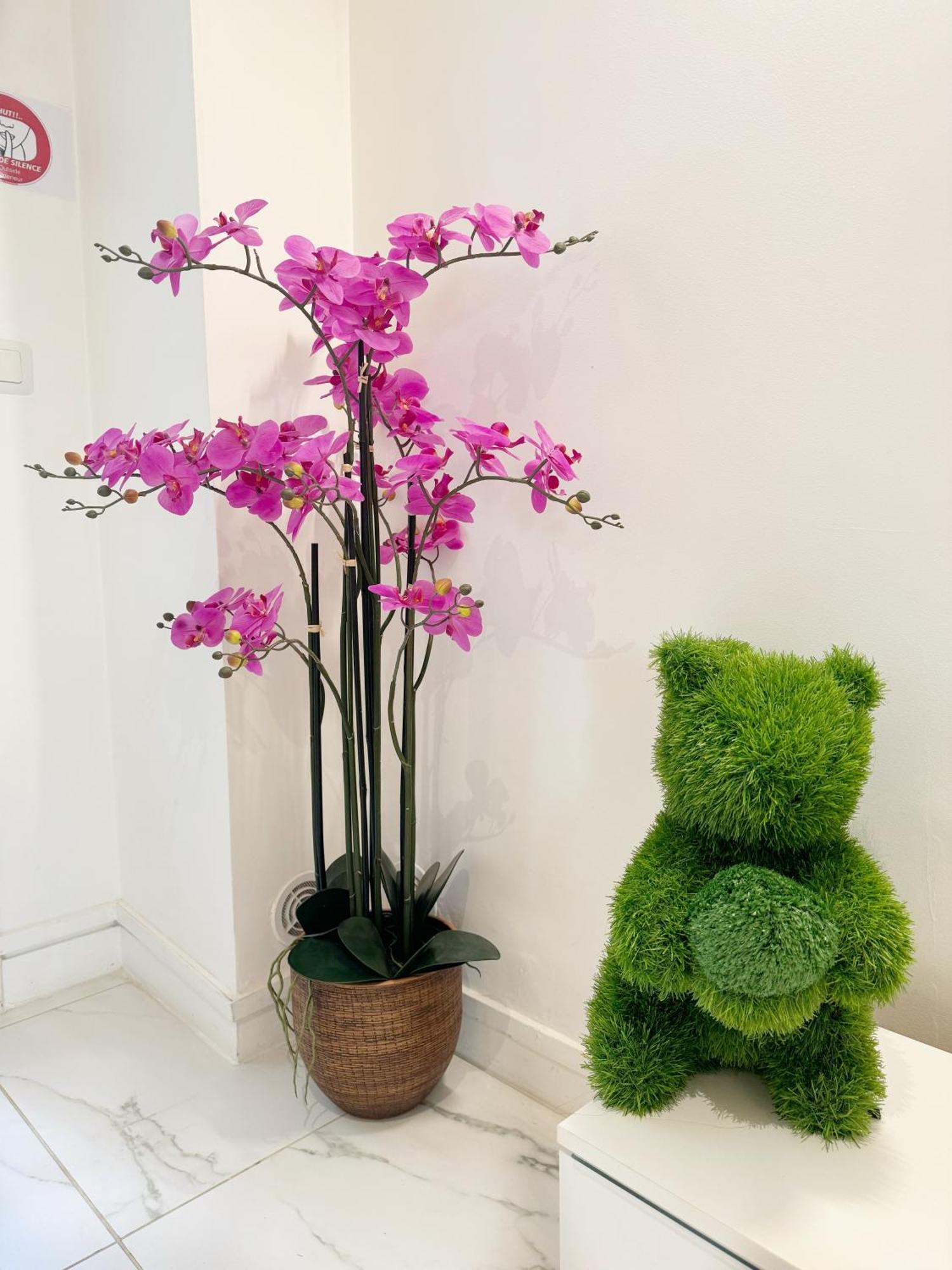 Location Calm Palais Royal Louvre Opera Concorde Clim